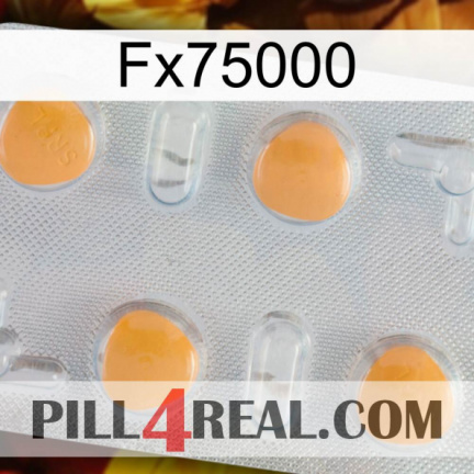 Fx75000 24